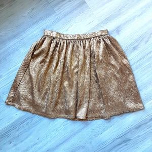 Gold Holiday Skirt